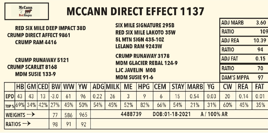Mccann-Direct-Effect-1137