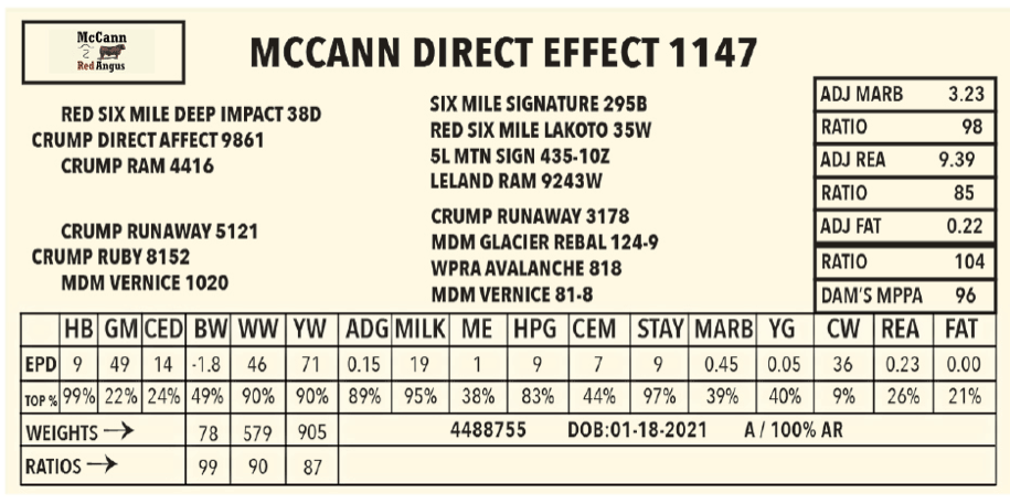 Mccann-Direct-Effect-1147