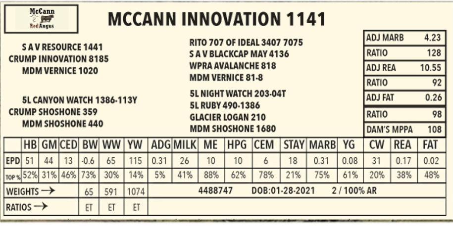 Mccann-Innovation-1141