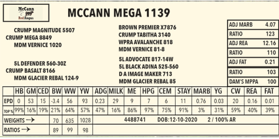 Mccann-Mega-1139