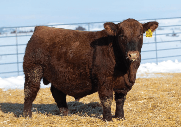 NIO-DEEP-END-2059-reg-2025